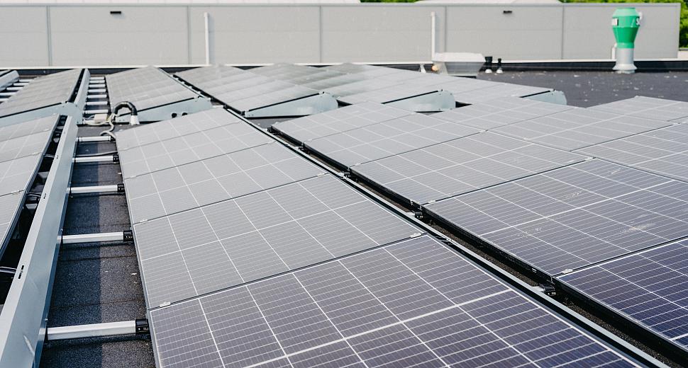 Zonnepanelen op een plat dak, opgesteld in rijen met metalen beugels, met zicht op omliggende groene bomen en een ventilatieschacht op de achtergrond.