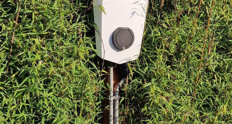 Witte elektrische laadpaal geïnstalleerd tussen hoge bamboeplanten, met zichtbare bekabeling die naar beneden loopt.