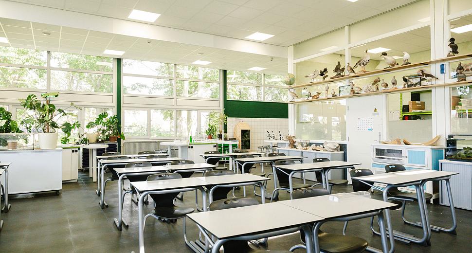 Licht en ruim klaslokaal met grote ramen, voorzien van planten, bureaus en stoelen, en een kast met opgezette dieren langs de muur.